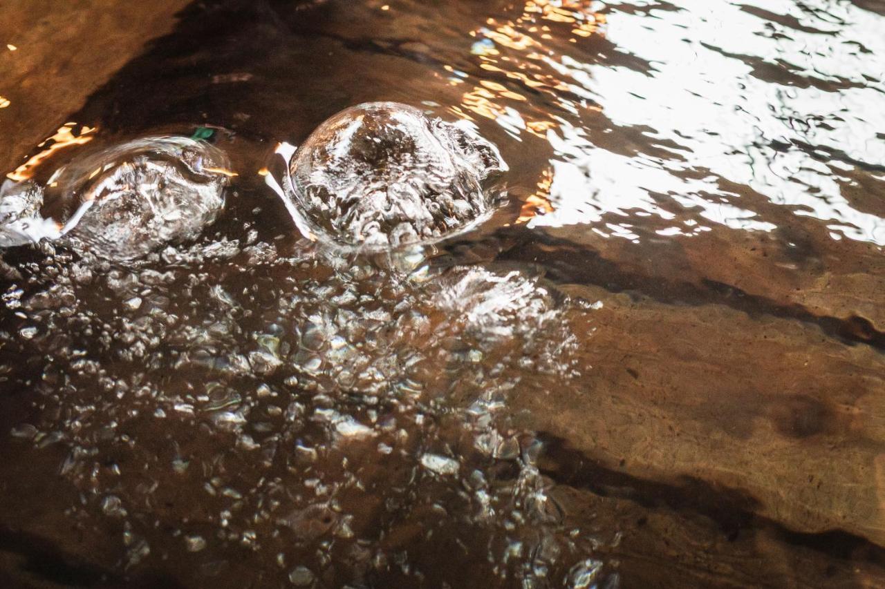 Tsuta Onsen Ryokan 도와다 외부 사진